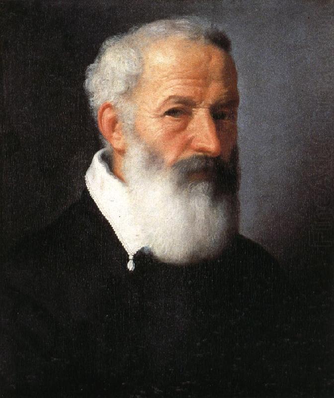 Portrait of an Old Man, MORONI, Giovanni Battista